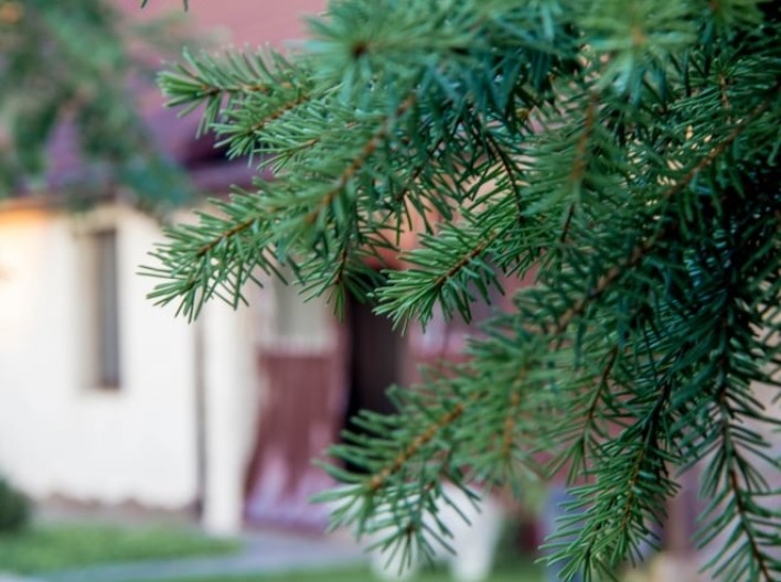 Банно-oздоровительный клуб «Остров»